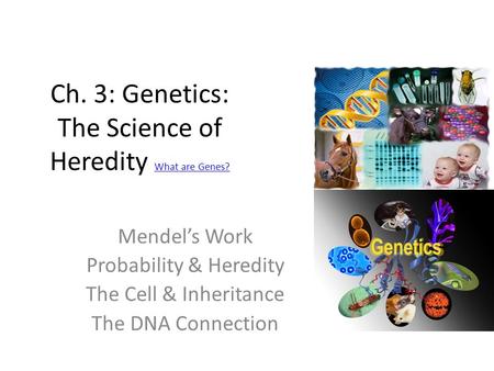 Ch. 3: Genetics: The Science of Heredity What are Genes?