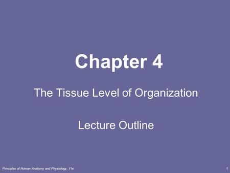 The Tissue Level of Organization Lecture Outline