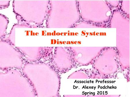 The Endocrine System Diseases