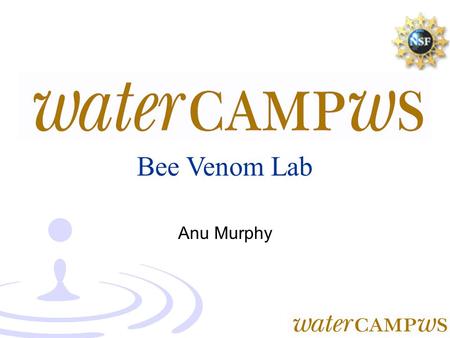 Bee Venom Lab Anu Murphy. Introduction We will use web-based biological tools to study various bee venom toxins. Outline of presentation: –Which toxins.