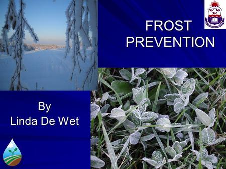 FROST PREVENTION By Linda De Wet. WHAT IS FROST? Frost is defined in the Glossary of Meteorology as the condition that exists when the temperature (Ta)