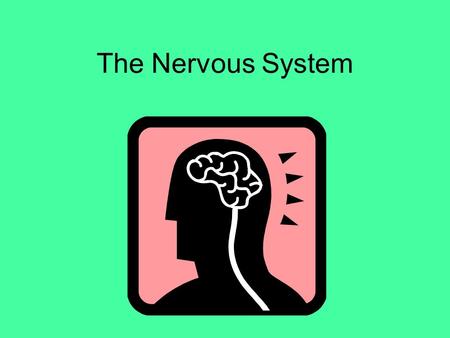 The Nervous System.