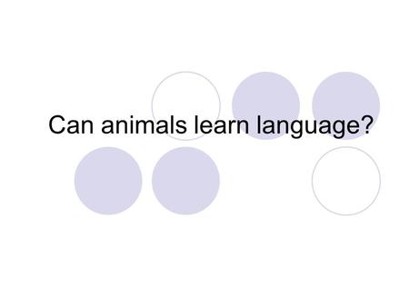 Can animals learn language?. Koko the gorilla  Koko is a 32-year old female gorilla who has stunned the world by being able to learn.