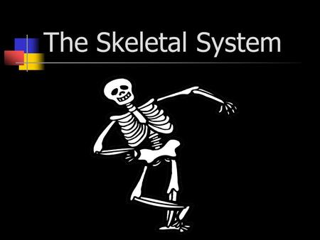 The Skeletal System.