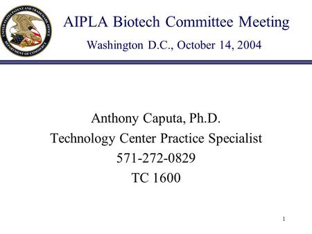 1 AIPLA Biotech Committee Meeting Washington D.C., October 14, 2004 Anthony Caputa, Ph.D. Technology Center Practice Specialist 571-272-0829 TC 1600.