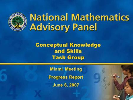 1 Conceptual Knowledge and Skills Task Group Miami Meeting Progress Report June 6, 2007.