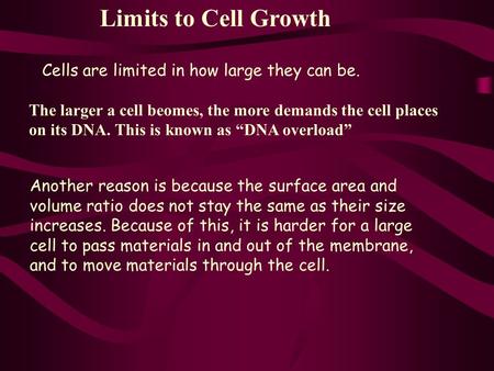 Another reason is because the surface area and volume ratio does not stay the same as their size increases. Because of this, it is harder for a large cell.