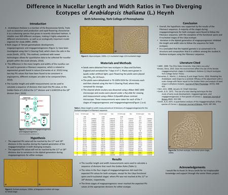 Difference in Nucellar Length and Width Ratios in Two Diverging Ecotypes of Arabidopsis thaliana (L.) Heynh Introduction  Arabidopsis thaliana is a member.