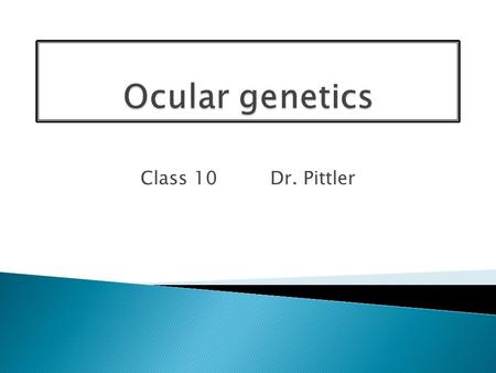 Class 10 Dr. Pittler. The Inherited Retinal Degenerations fall into 2 broad categories: 1) The Retinitis Pigmentosa Family in which rod photoreceptors.