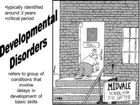 typically identified around 3 years critical period refers to group of conditions that involve delays in development of basic skills.