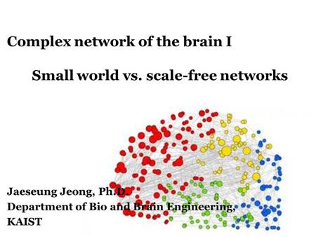 Complex network of the brain I Small world vs. scale-free networks