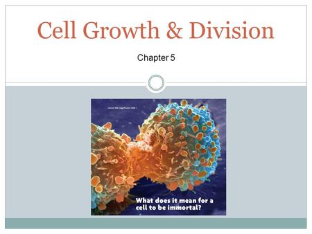 Cell Growth & Division Chapter 5.