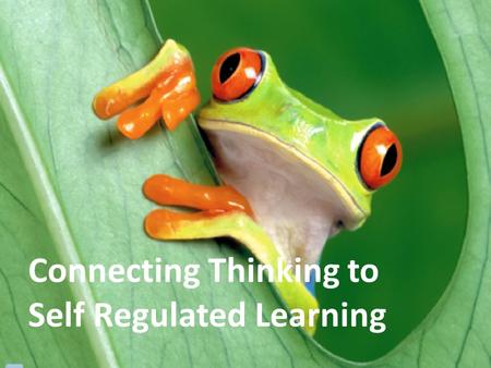 Connecting Thinking to Self Regulated Learning. And now … our expert on thinking.