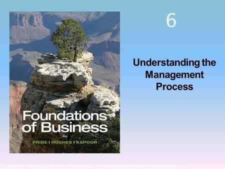 Understanding the Management Process