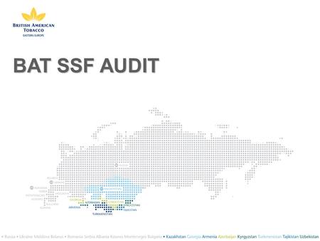 BAT SSF AUDIT. BRITISH AMERICAN TOBACCO BAT is the world’s second largest quoted tobacco group by global market share, with brands sold in more than 180.