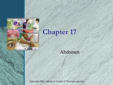 Copyright 2002, Delmar, A division of Thomson Learning Chapter 17 Abdomen.