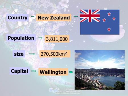 CountryNew Zealand Population 3,811,000 size270,500km 2 Capital Wellington.