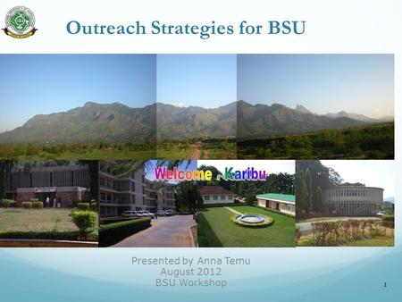 Outreach Strategies for BSU Presented by Anna Temu August 2012 BSU Workshop 1.