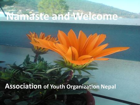 Namaste and Welcome Association of Youth Organization Nepal.