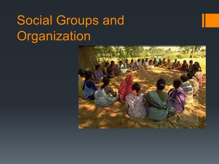 Social Groups and Organization. Social Group(s)  ***A cluster of people beyond the domestic unit who are usually related on grounds other than kinship.