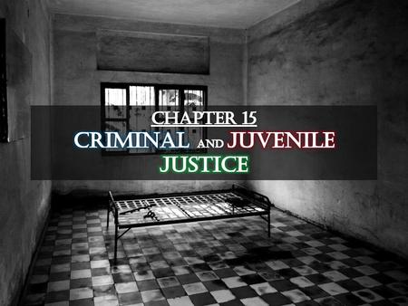 Chapter 15 Criminal and juvenile justice