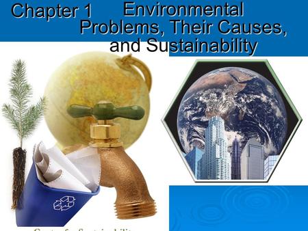 Environmental Problems, Their Causes, and Sustainability