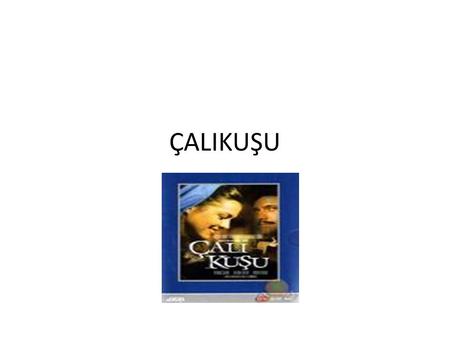 ÇALIKUŞU. This novel portrays the struggle of a woman in a male-dominated society. Feride, heroine of the book, tries to lead her life working as a teacher.