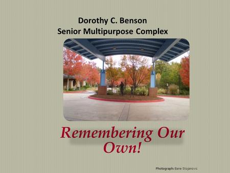 Dorothy C. Benson Senior Multipurpose Complex Photograph: Bane Stojanovic.