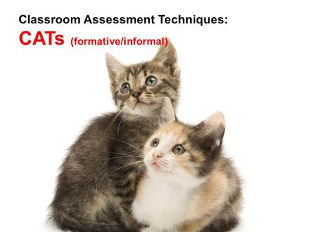 Classroom Assessment Techniques: CATs (formative/informal)