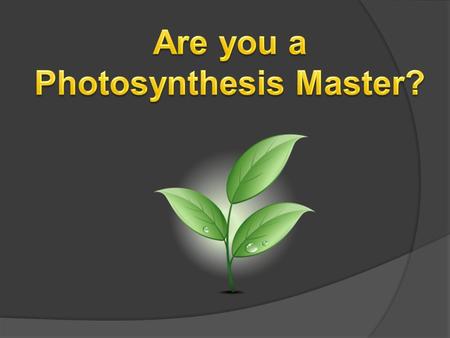 Photosynthesis Master?