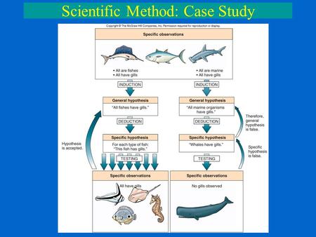 Scientific Method: Case Study. Scientific Method Field Observations vs. Controlled Experiments 1.Field Observations (in situ) Natural setting Uncontrolled.