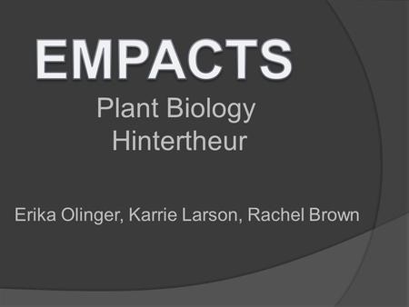 Plant Biology Hintertheur Erika Olinger, Karrie Larson, Rachel Brown.