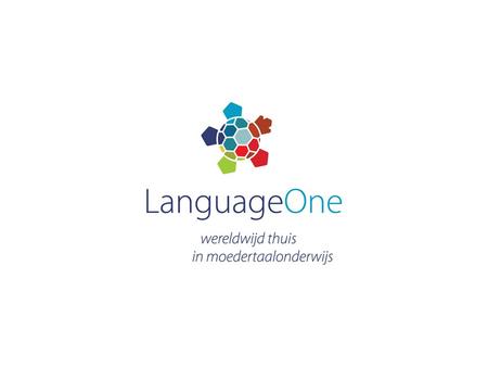 What is TTO and IB in the VWO/HAVO context? Twee Talen Onderwijs = 50% in English Yr 1 - 3 : VWO + TTO or HAVO + TTO Yr 4 - 6 = 25% in English TTO certificate.