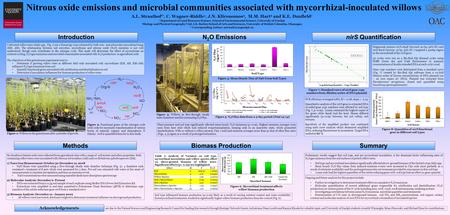 Nitrous oxide emissions and microbial communities associated with mycorrhizal-inoculated willows A.L. Straathof 1*, C. Wagner-Riddle 1, J.N. Klironomos.