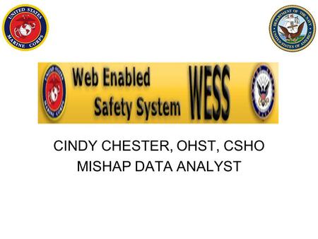 CINDY CHESTER, OHST, CSHO MISHAP DATA ANALYST OBJECTIVES DOD 6055.7 Released. Changes – How they affect WESS Combat Zone Report WESS - ESAMS Interface.