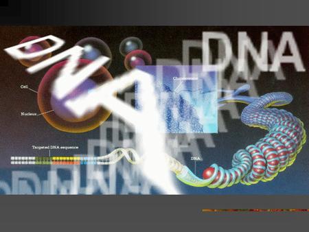 DNA Deoxyribonucleic Acid What are we going to learn? What do you want to know?