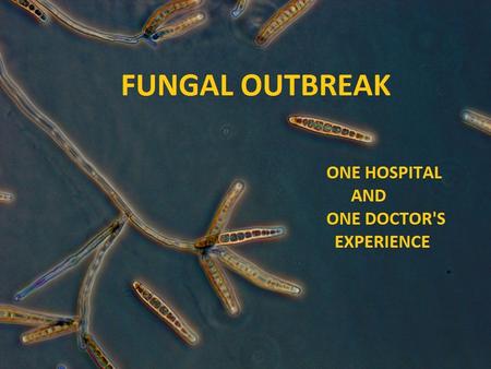 History  9/18/2012 - a case of aspergillus meningitis was reported to the Tennessee Department of Health  Investigation revealed that the initial patient.