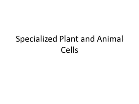 Specialized Plant and Animal Cells