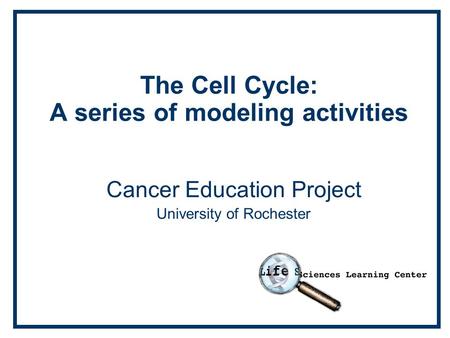 The Cell Cycle: A series of modeling activities