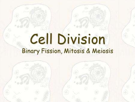 Cell Division Binary Fission, Mitosis & Meiosis. Binary Fission Most cells reproduce through some sort of Cell DivisionMost cells reproduce through some.