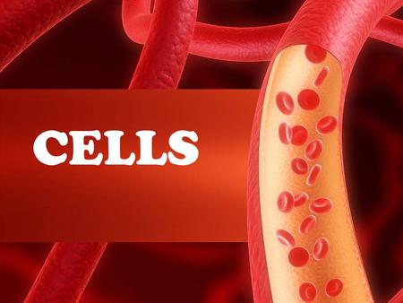 CELLS. Groups 1s- pg 30-31 Compare and contrast multi-cellular and uni-cellular. 2s- pg 32-33 How were cells discovered and explain the cell theory. 3s.