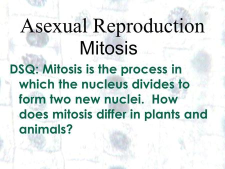 1 1 Asexual Reproduction Mitosis DSQ: Mitosis is the process in which the nucleus divides to form two new nuclei. How does mitosis differ in plants and.