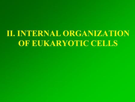 II. INTERNAL ORGANIZATION OF EUKARYOTIC CELLS. Structure of a „typical” animal cell.