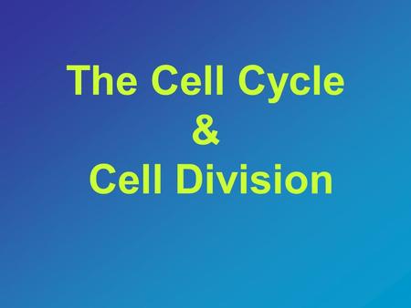 The Cell Cycle & Cell Division. The Cell Cycle