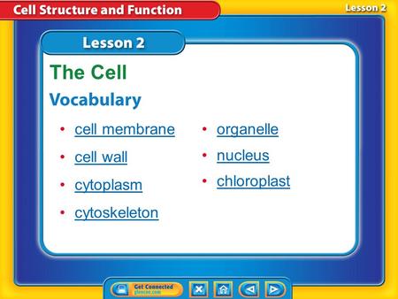 The Cell cell membrane cell wall cytoplasm cytoskeleton organelle