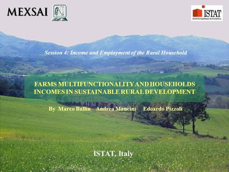 FARMS MULTIFUNCTIONALITY AND HOUSEHOLDS INCOMES IN SUSTAINABLE RURAL DEVELOPMENT Session 4: Income and Employment of the Rural Household By Marco Ballin.