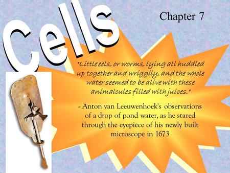 Little eels, or worms, lying all huddled up together and wriggily, and the whole water seemed to be alive with these animalcules filled with juices.