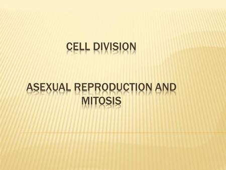 Cell Division Pre-existing cells growth and to replace damaged or old cells.