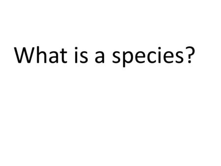 What is a species?.