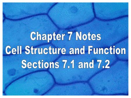 Cell Structure and Function